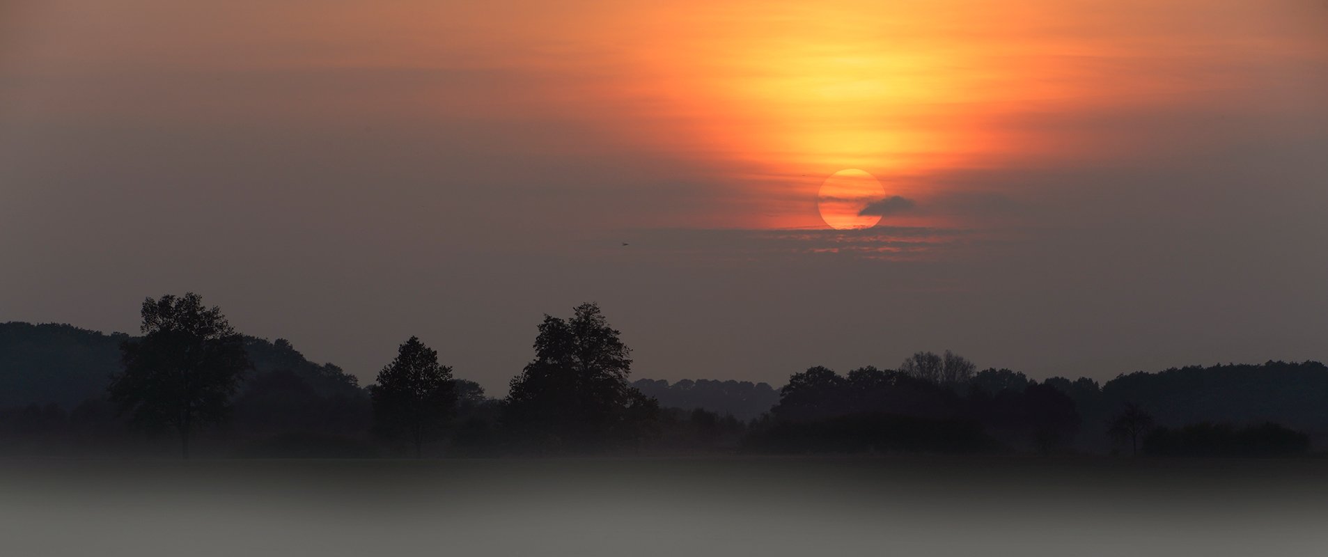 , Игорь Дубровский