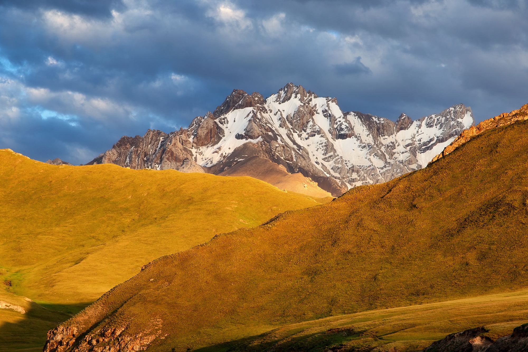 кыргызстан,горы, долина кок-кыя(3500м), Элина Магалимова