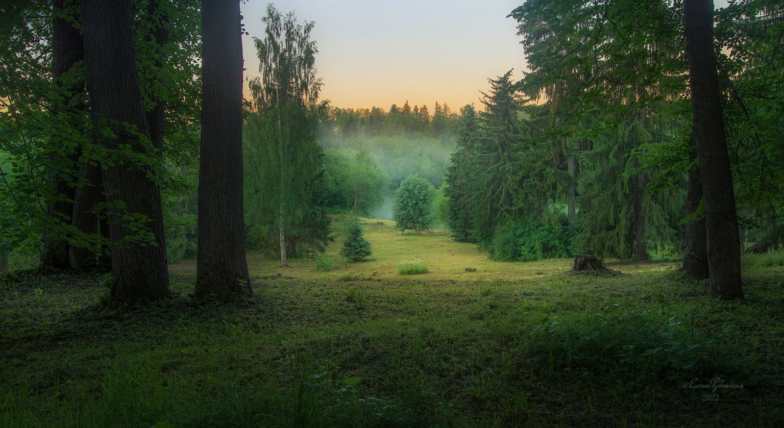 щелыково, кострома, костромская область, Елена Рубинская