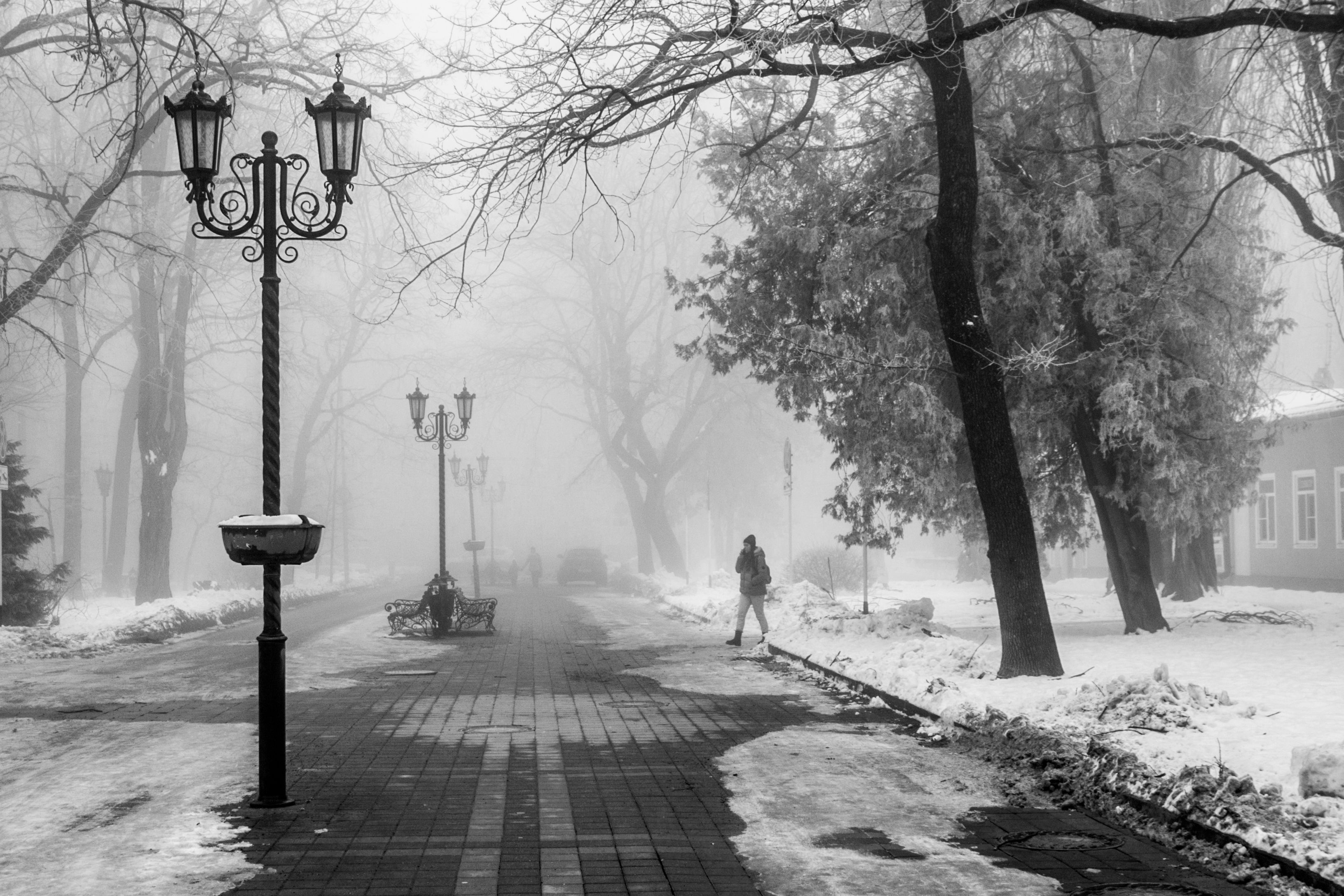 туман, город, улица, стрит,ч/б, черно-белое, Виталий Маслов