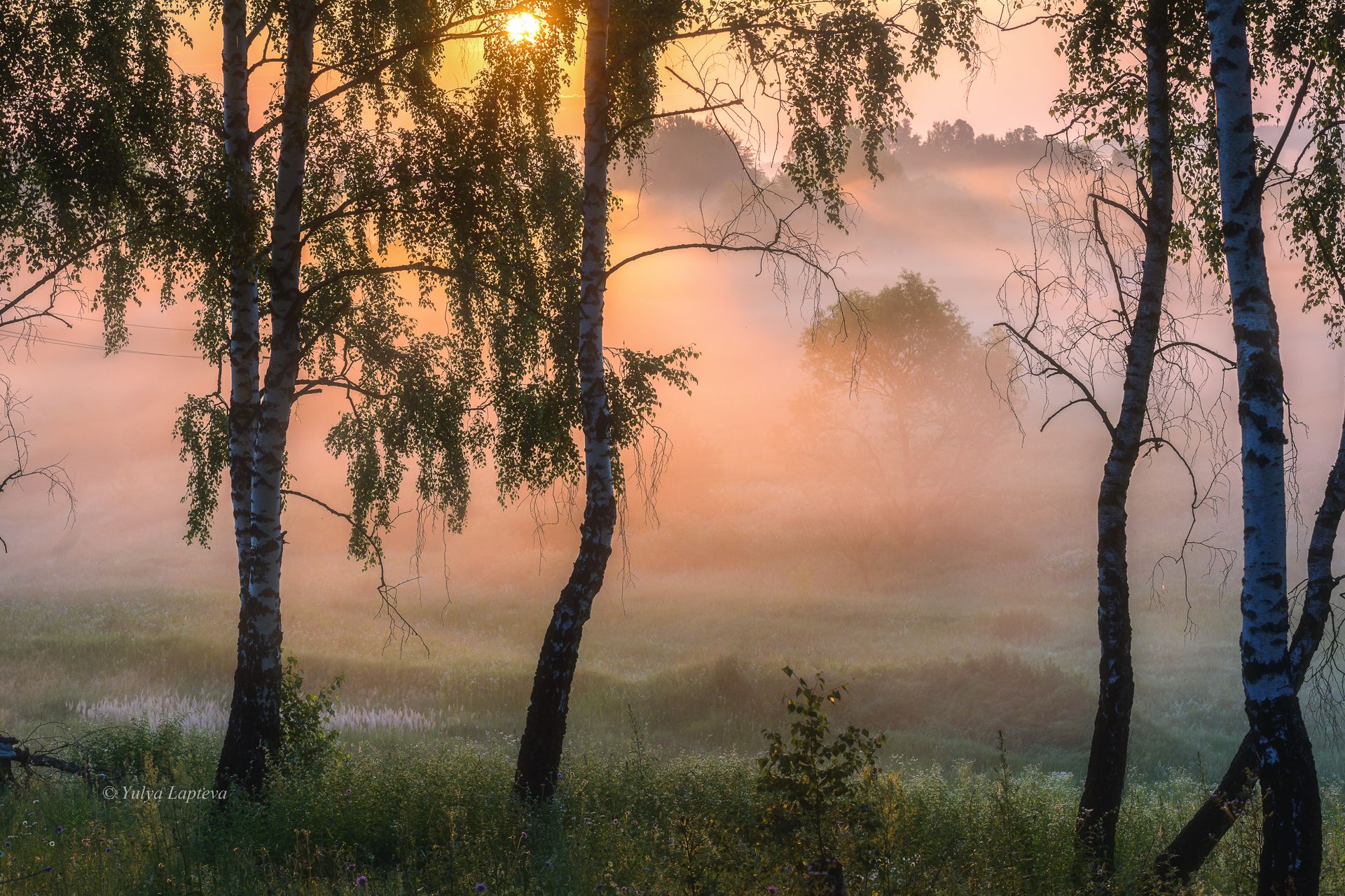 , Юлия Лаптева