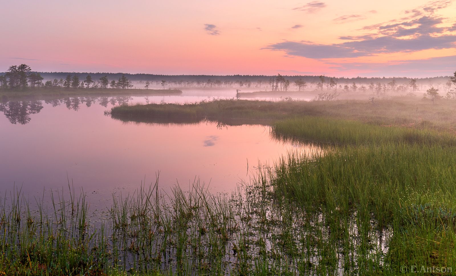 пейзаж, природа, болото, эстония, Antson Elvis