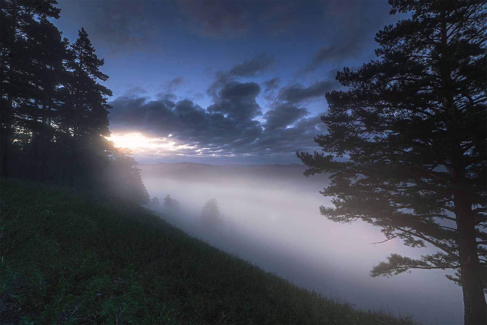 туман рассвет природа пейзаж лес, Новокрещенов Станислав