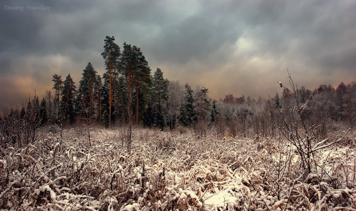 Зима, Пейзаж, Природа, Dmitry Postnikov