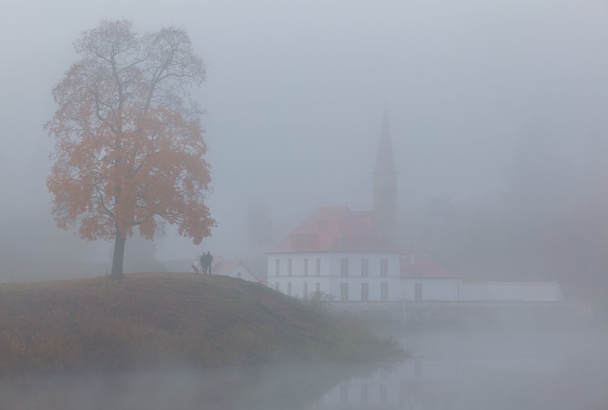 гатчина, приоратский дворец, осень, туман, утро, Alex Darkside
