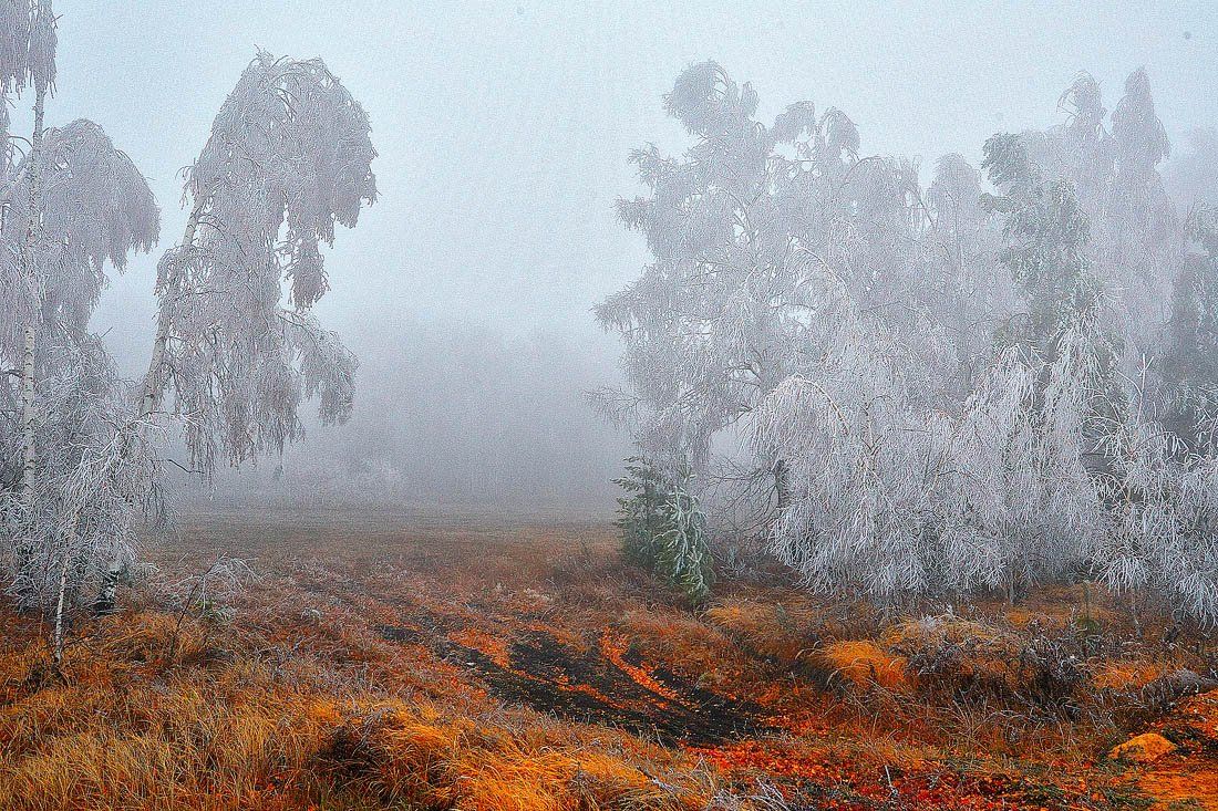 , Качурин Алексей