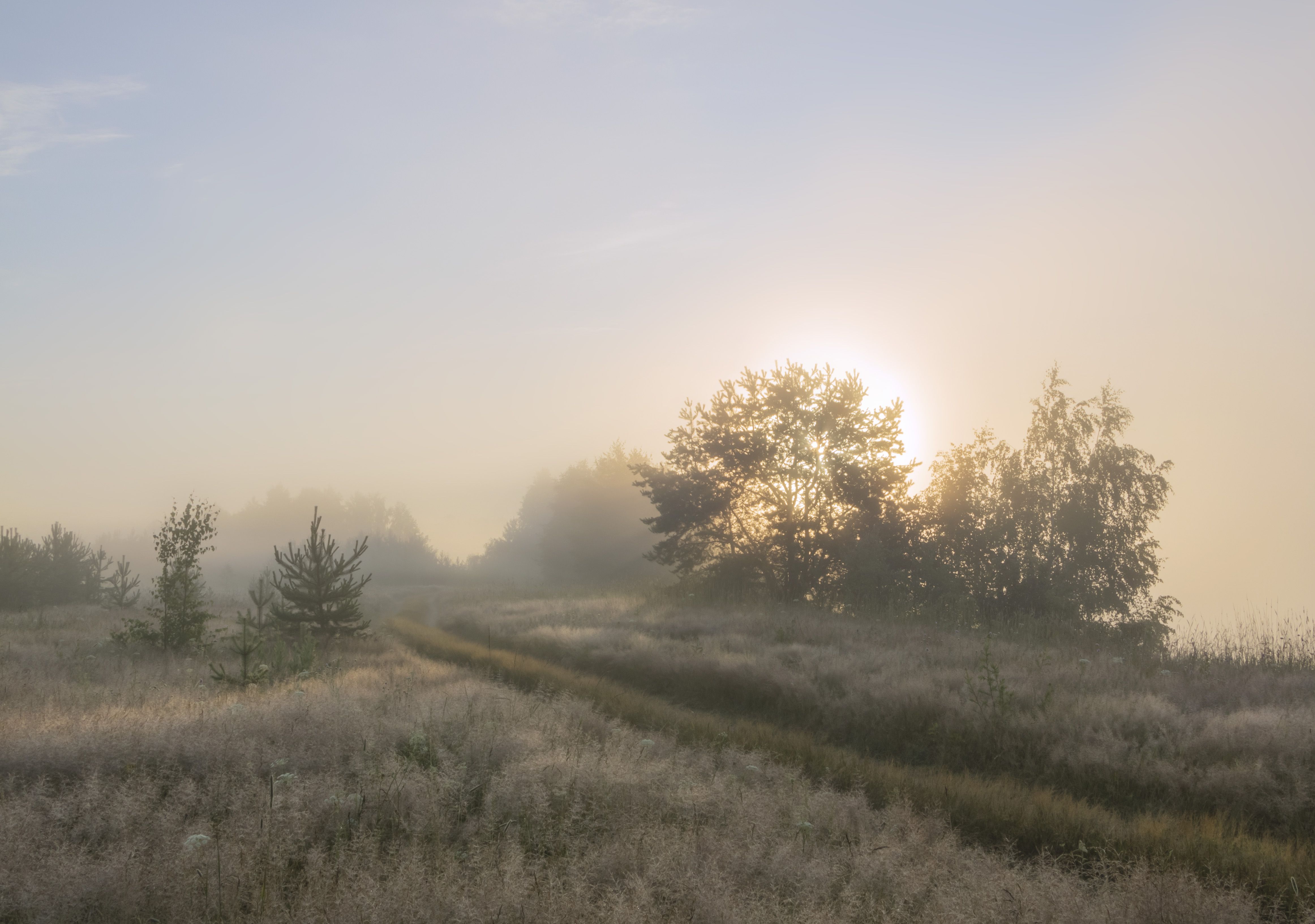 природа, пейзаж, туман, Ольга Бонина