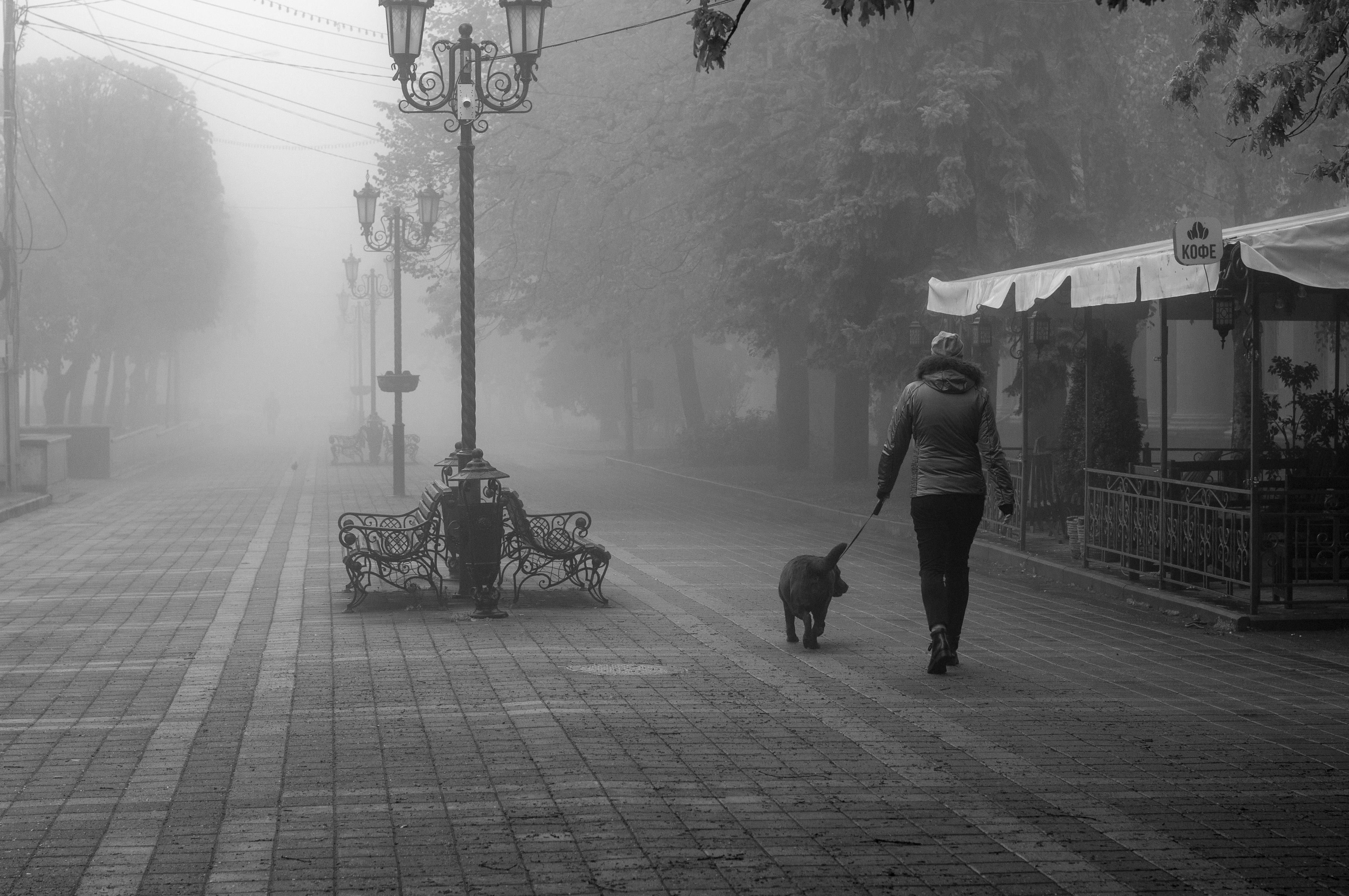 Туман, город, улица, стрит,ч/б, черно-белое, Виталий Маслов