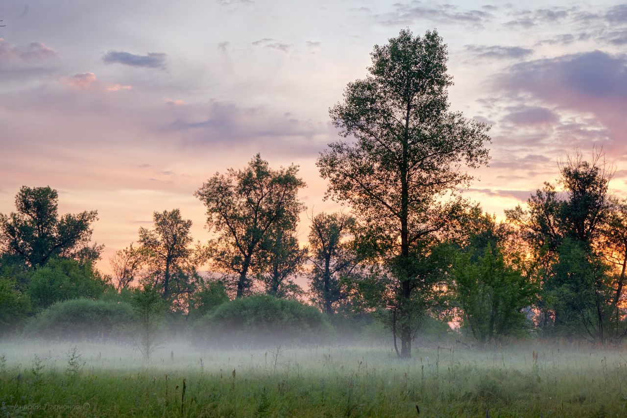пейзаж, лето, туман, рассвет, Андрей Ларионов