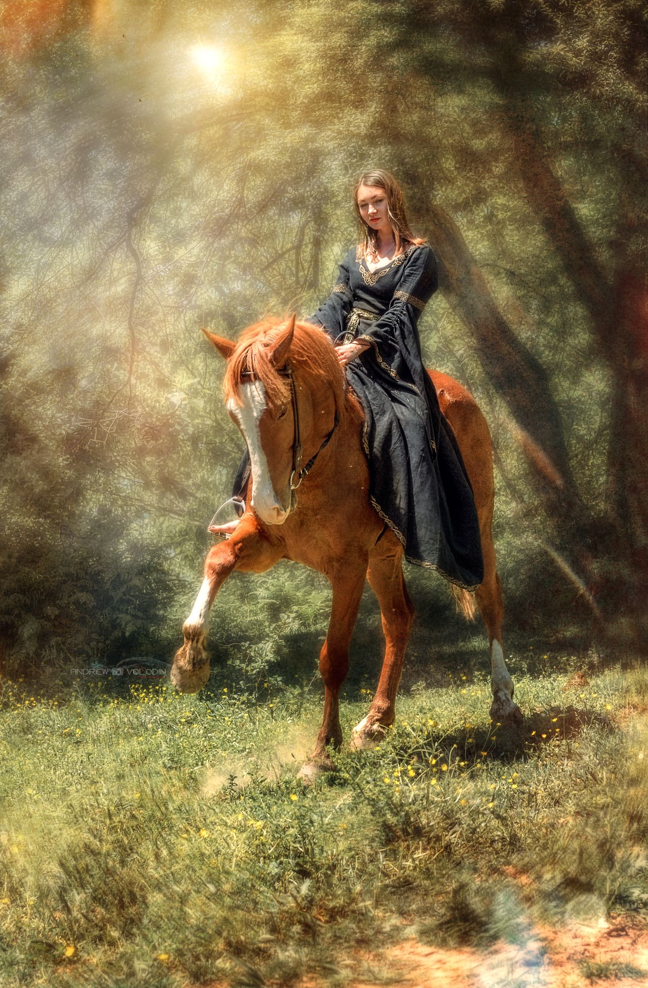 девушка конь наездница портрет амазонка, Андрей Володин
