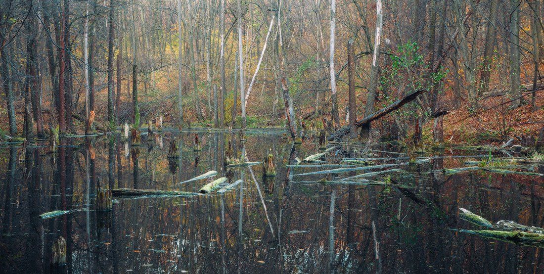 , Ярослав Тюрменко (Jaremi)