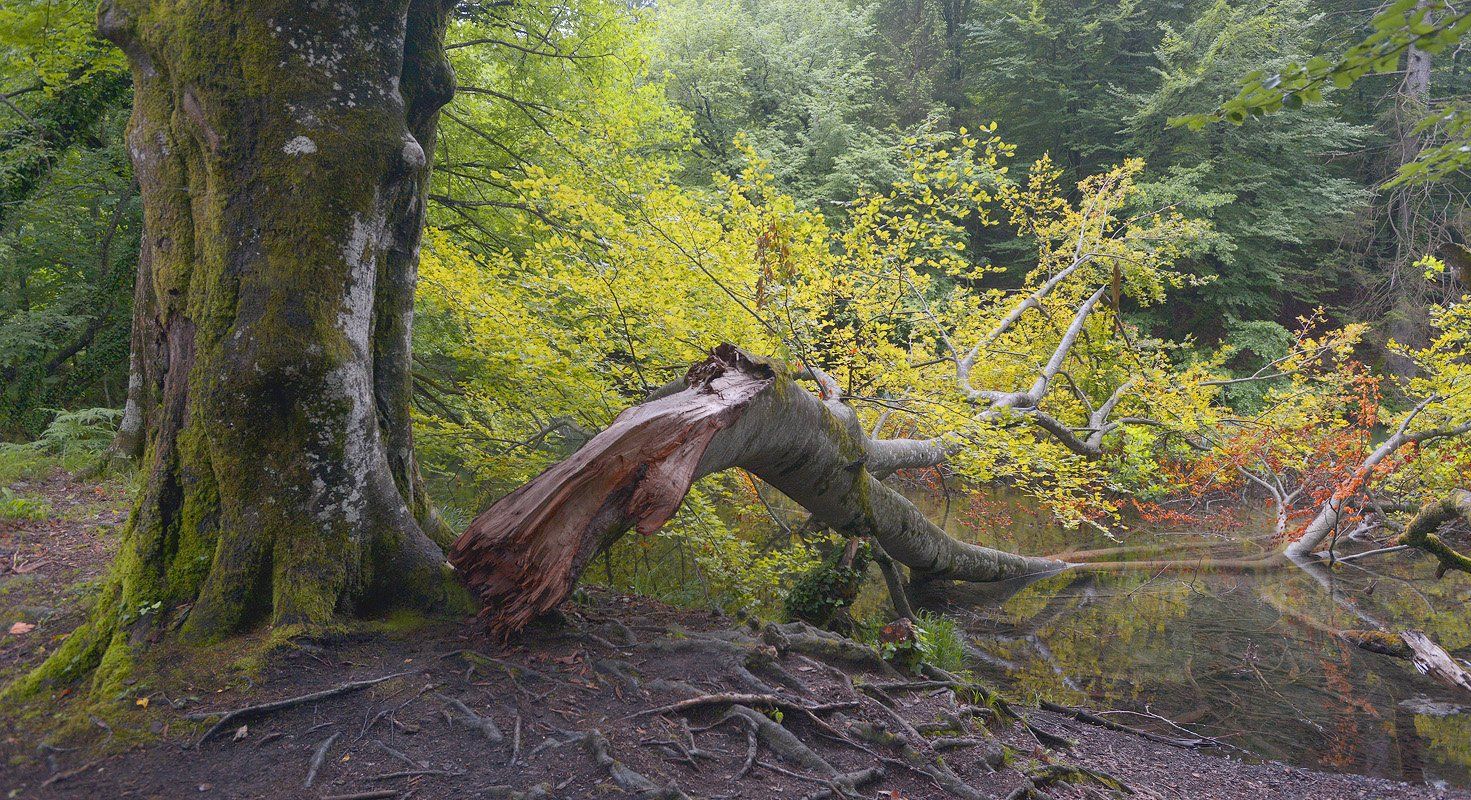 , Сергей Седов