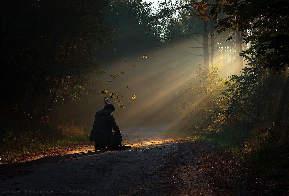 Fog, Forest, Jakub Przybyla