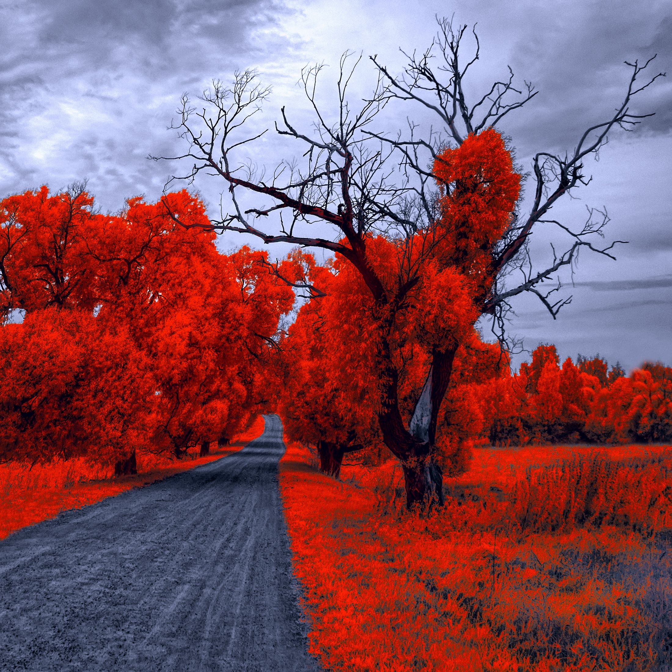 infrared,ик-фото,инфракрасное фото, инфракрасная фотография, пейзаж, лето,  Sixten (Сергей)