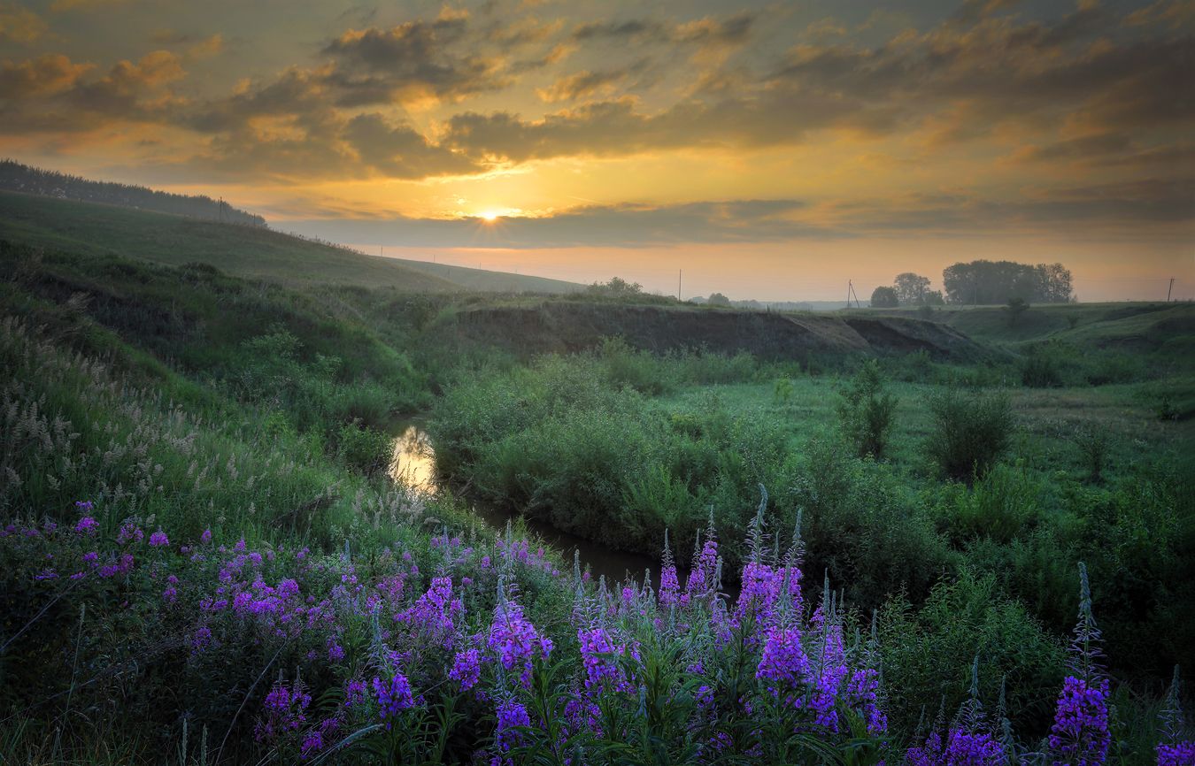 пейзаж Башкирия река рассвет люпины утро Ишкарово Сарьяз, Александр Бархатов