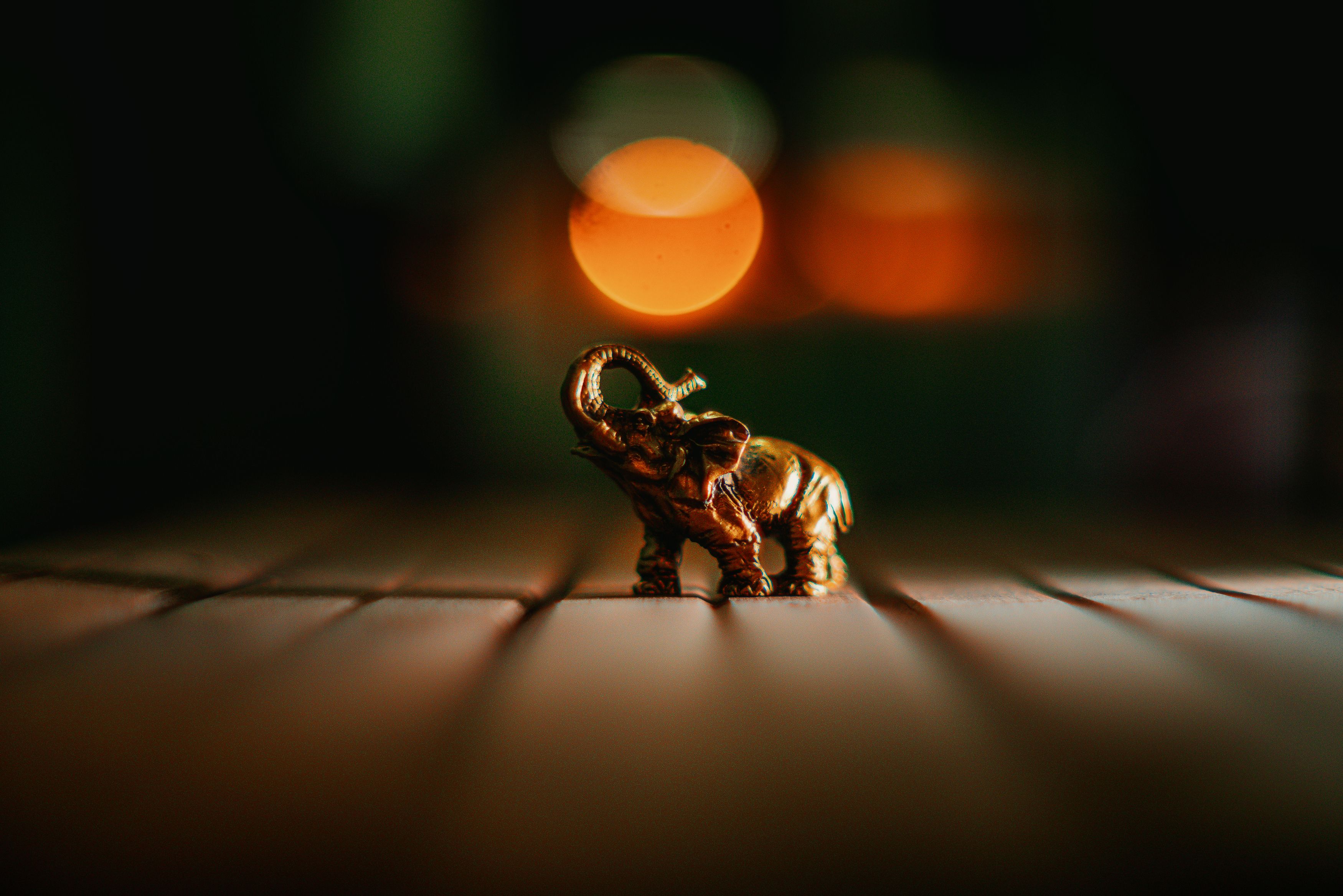 bokeh,light,color,55mm,f1.2,sonya7r,a7r,photographer,night, Roman Punenko