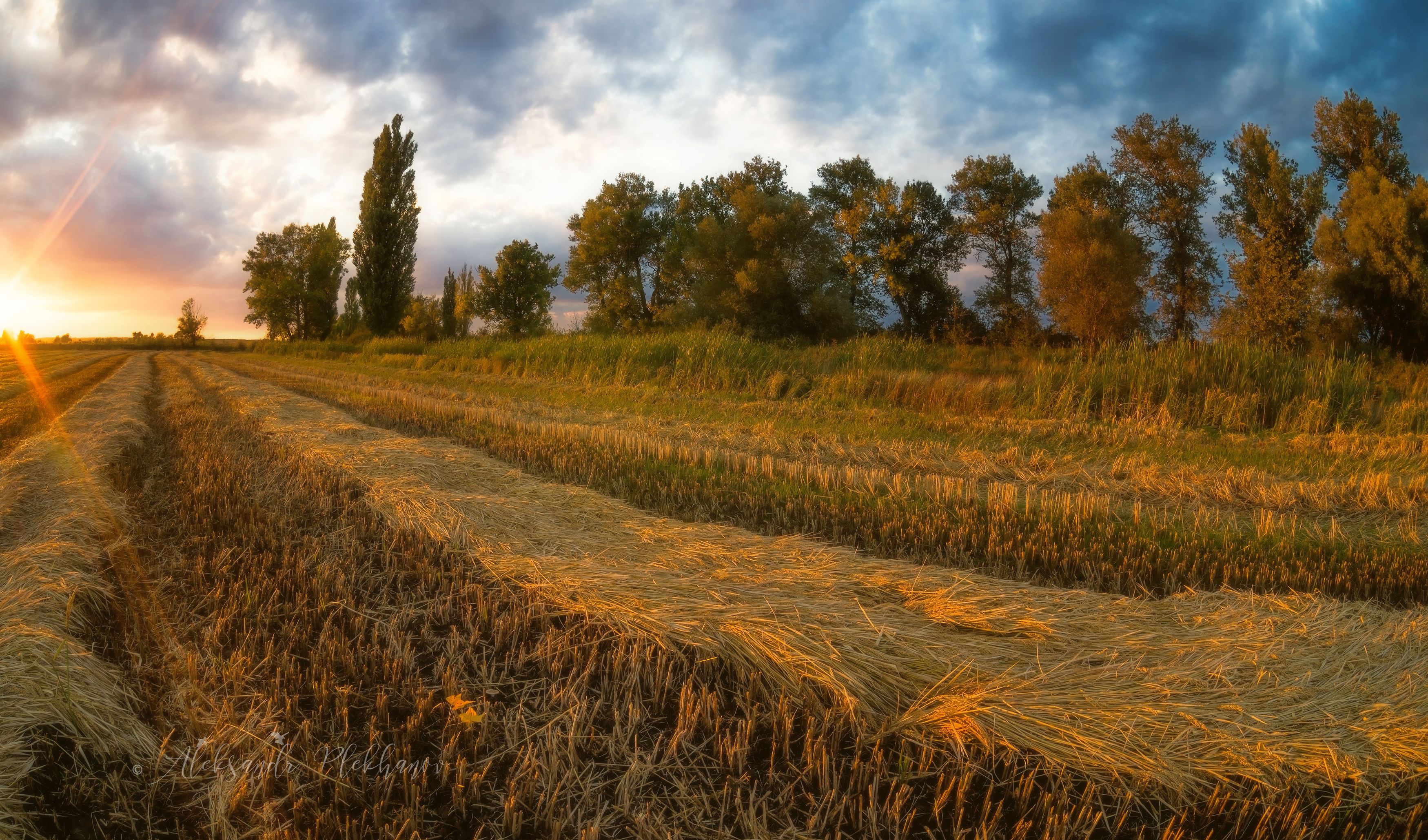 , Плеханов Александр