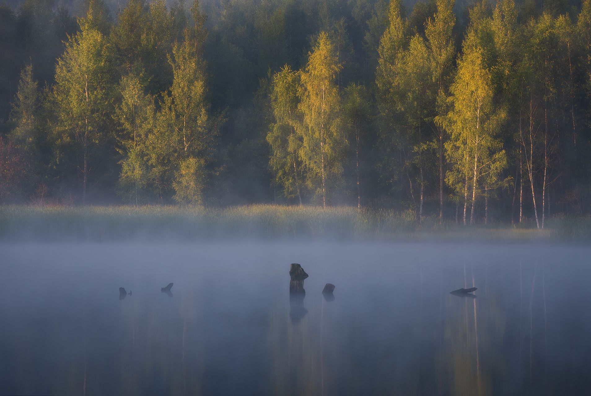 лето, туман, утро, озеро, Левыкин Виталий