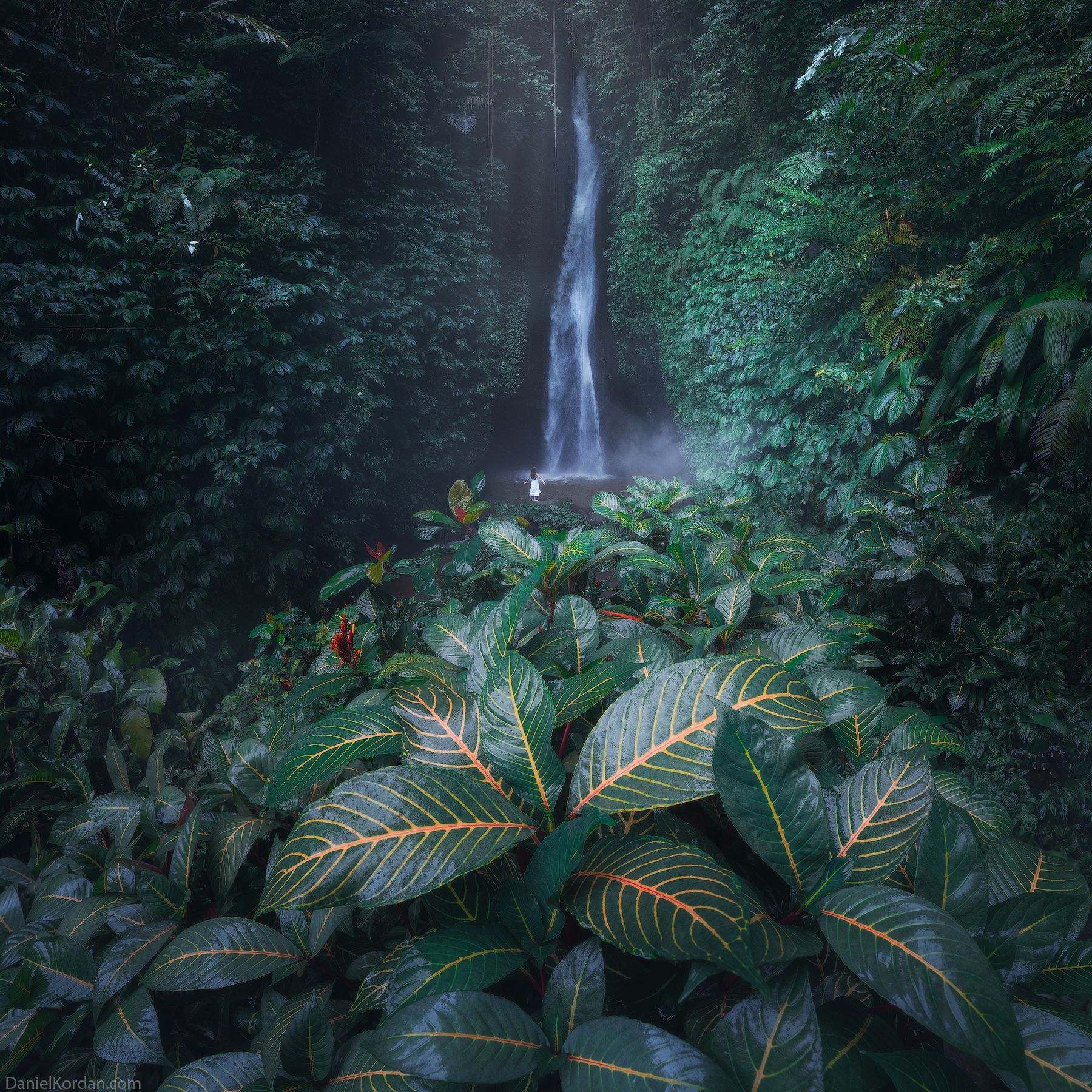 Bali, Даниил Коржонов