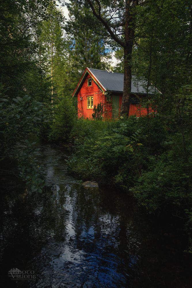 cabin,house,red,forest,woods,woodland,summer,outdoor,norway,, Adrian Szatewicz