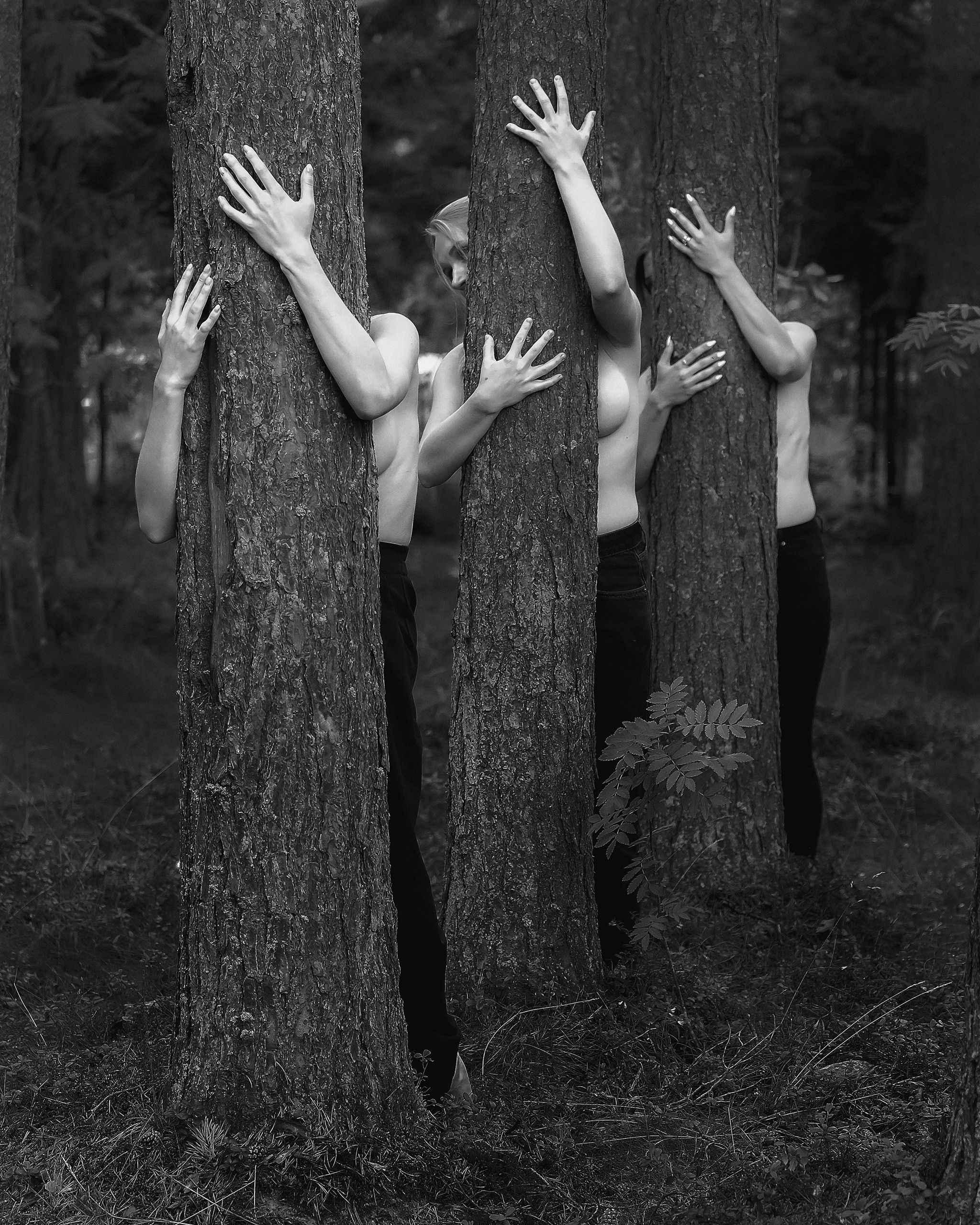 руки, дерево, черное белое, фотография, лес, Aleksandr Shvedov