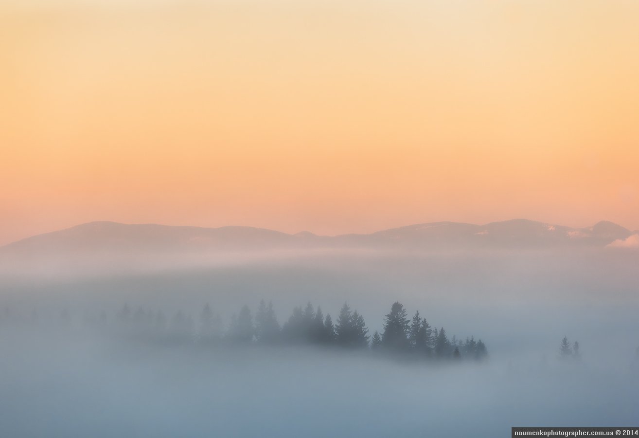 высокие,	горы,	лес,	осень, пейзаж,	рассвет,	словакия, татры,	туман, Александр Науменко