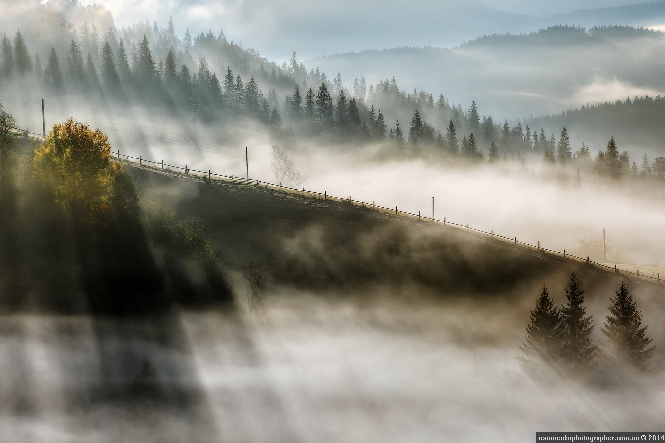 высокие,	горы,	лес,	осень, пейзаж,	рассвет,	словакия, татры,	туман, Александр Науменко