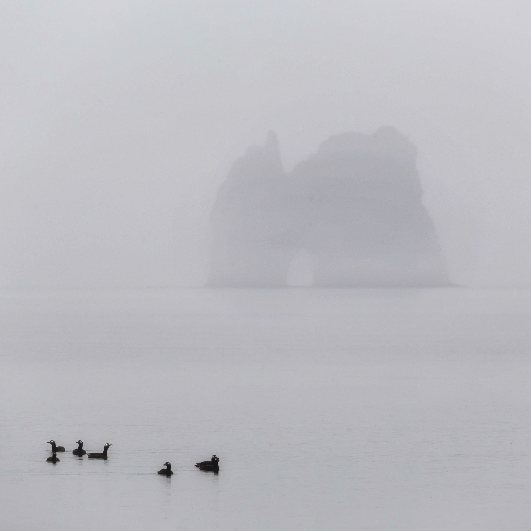 шантары, туман, арка, шантарские острова, природа, минимализм, пейзаж, Павел Ващенков