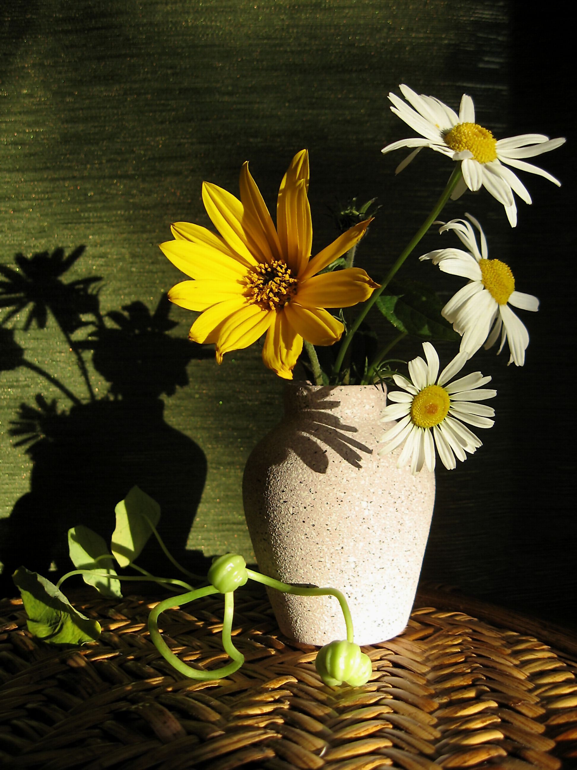 цветы, букет, ромашки, топинамбур, ваза, солнце, тень, Наталия Тихомирова