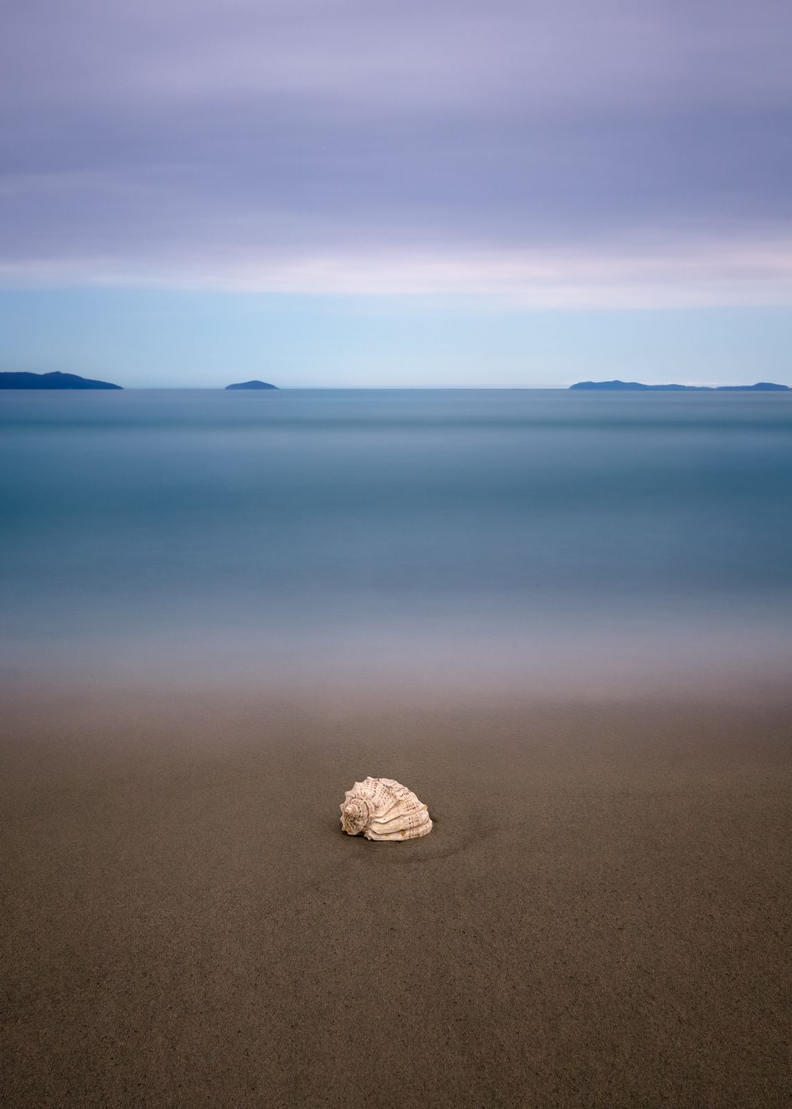 море, ракушка, песок, Андрей Кровлин