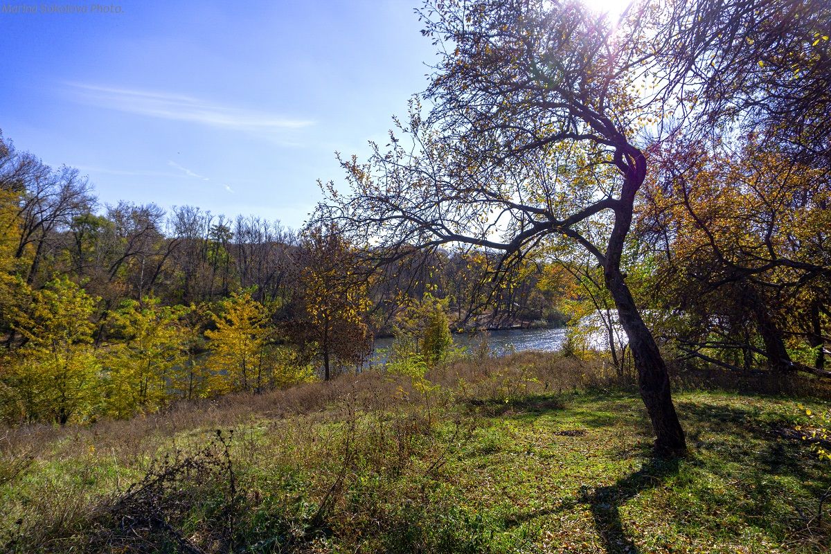 осень,природа,пейзаж, Марина Соколова
