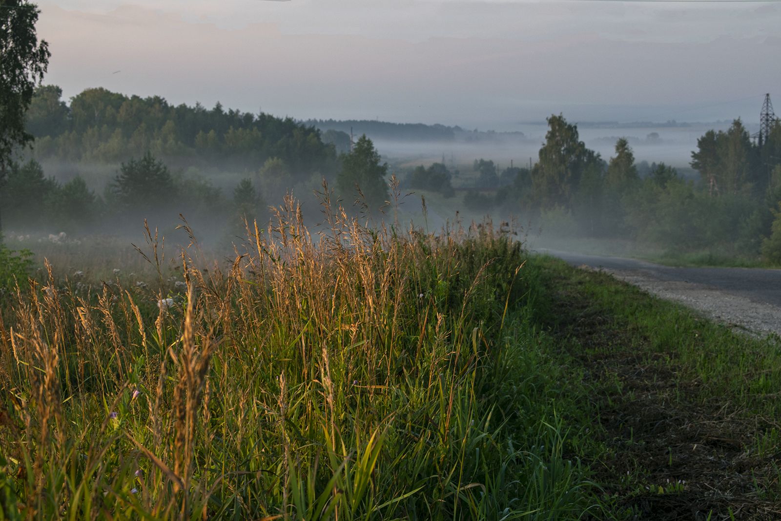 , Галина Луценко