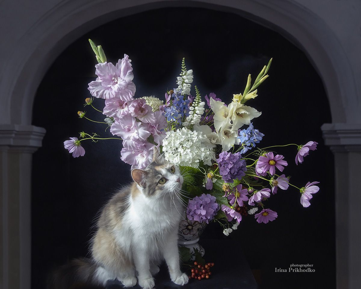 натюрморт, цветы, кошка, букет, Приходько Ирина