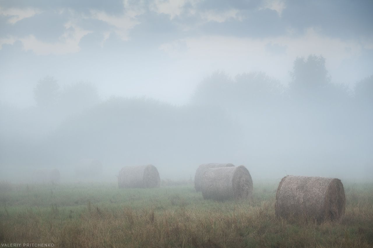 утро, туман, рассвет, пейзаж, поле, лето, landscape, morning, Валерий Притченко