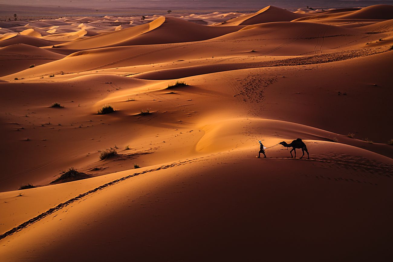 landscape nature scenery spring desert sahara sand berber bedouin sunset evening пейзаж закат пустыня, Александър Александров