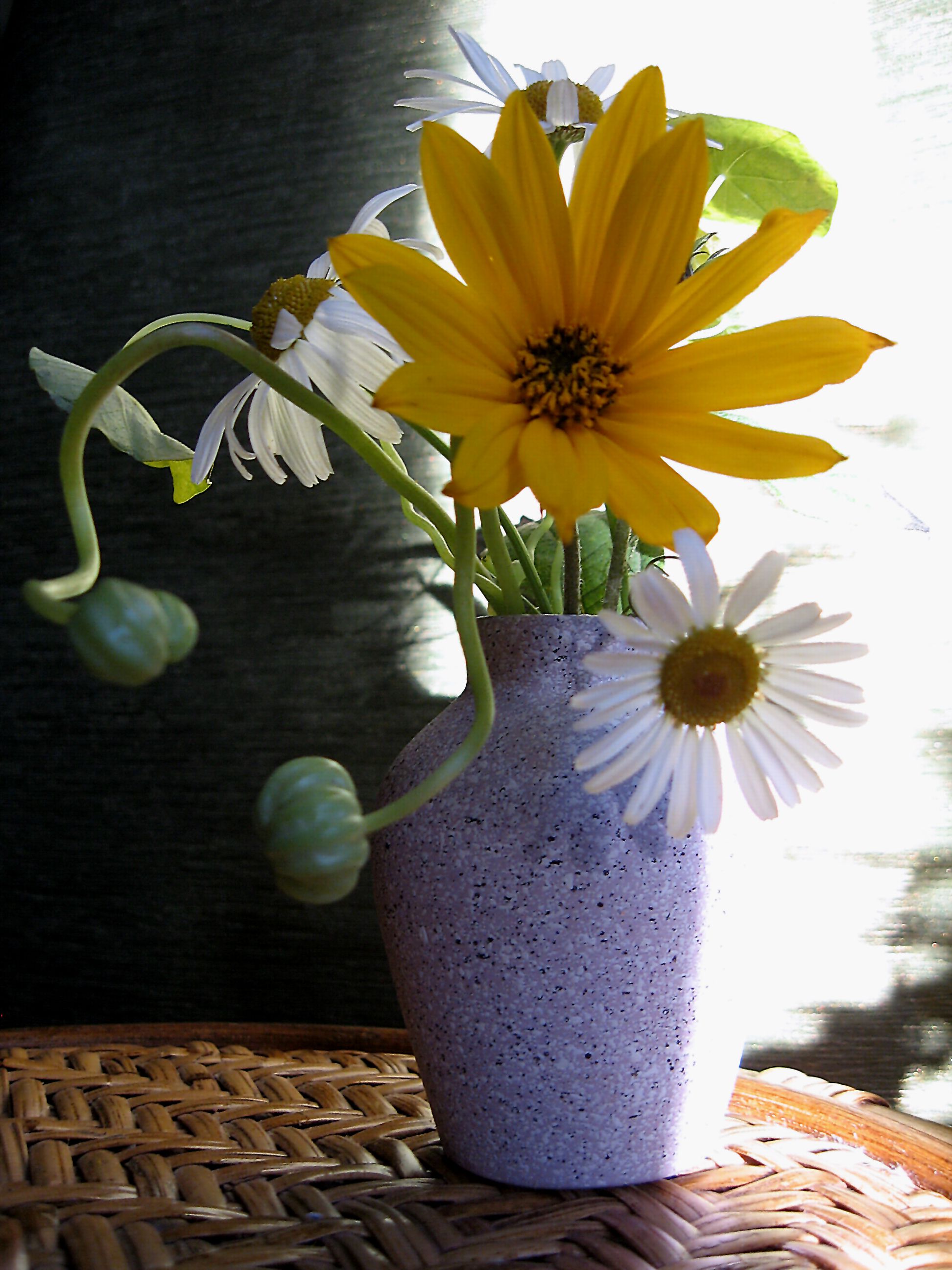 цветы, букет, ромашки, топинамбур, настурция, ваза, светотень, Наталия Тихомирова