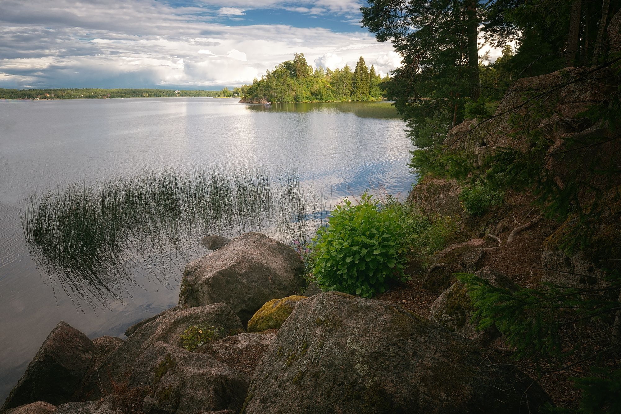 , Алексей Никонов