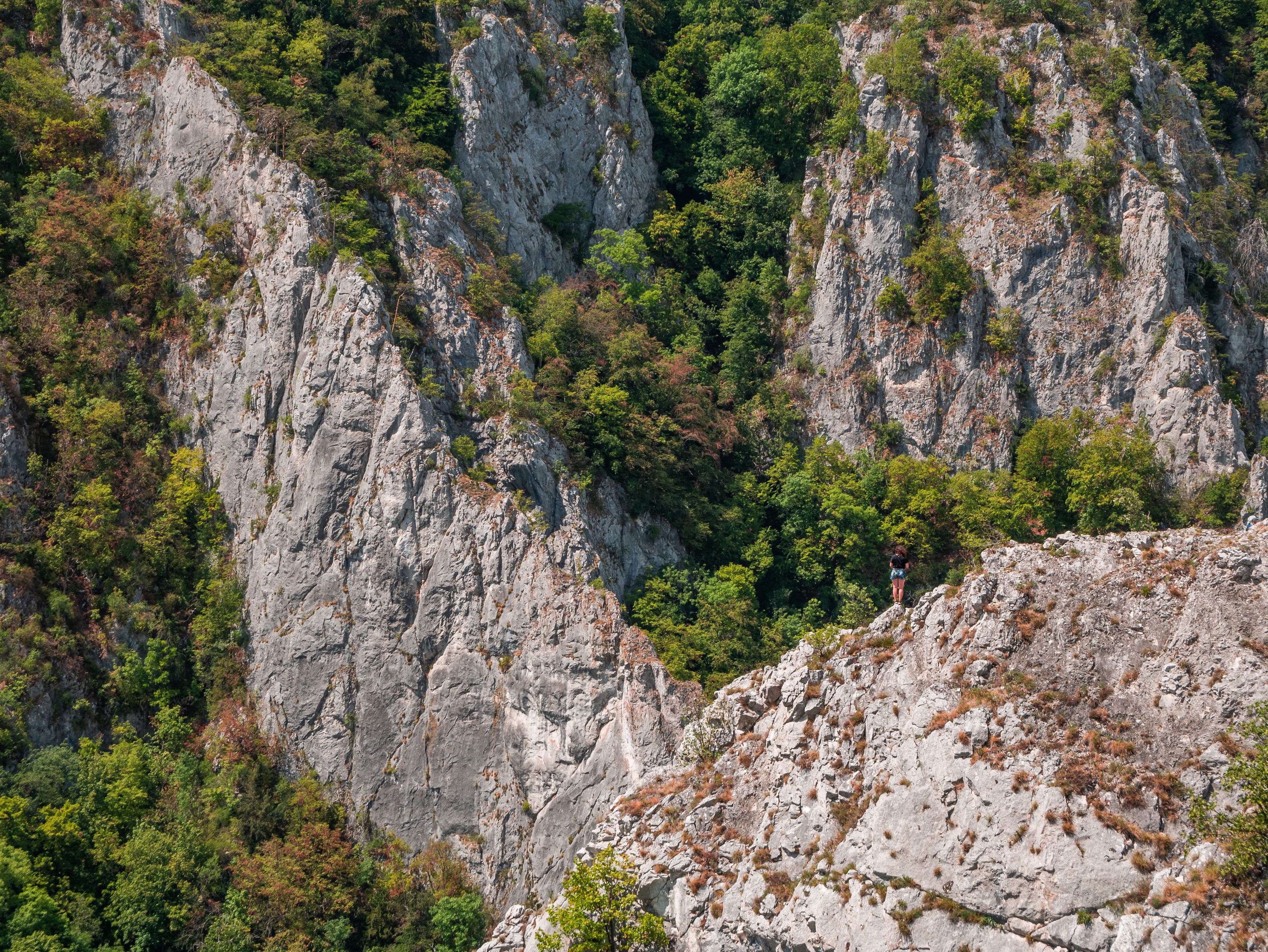 slovakia,landscape,nature,forest,rocks,wall,scale,nopeople, Slavomír Gajdoš