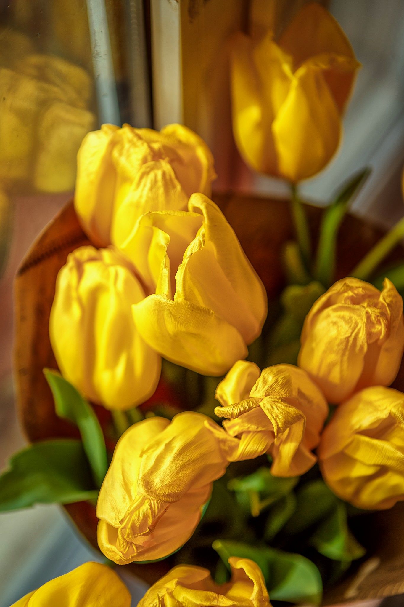 тюльпаны, девочка с тюльпанами, желтый цвет в фото, ребенок, Дуклер Алёна