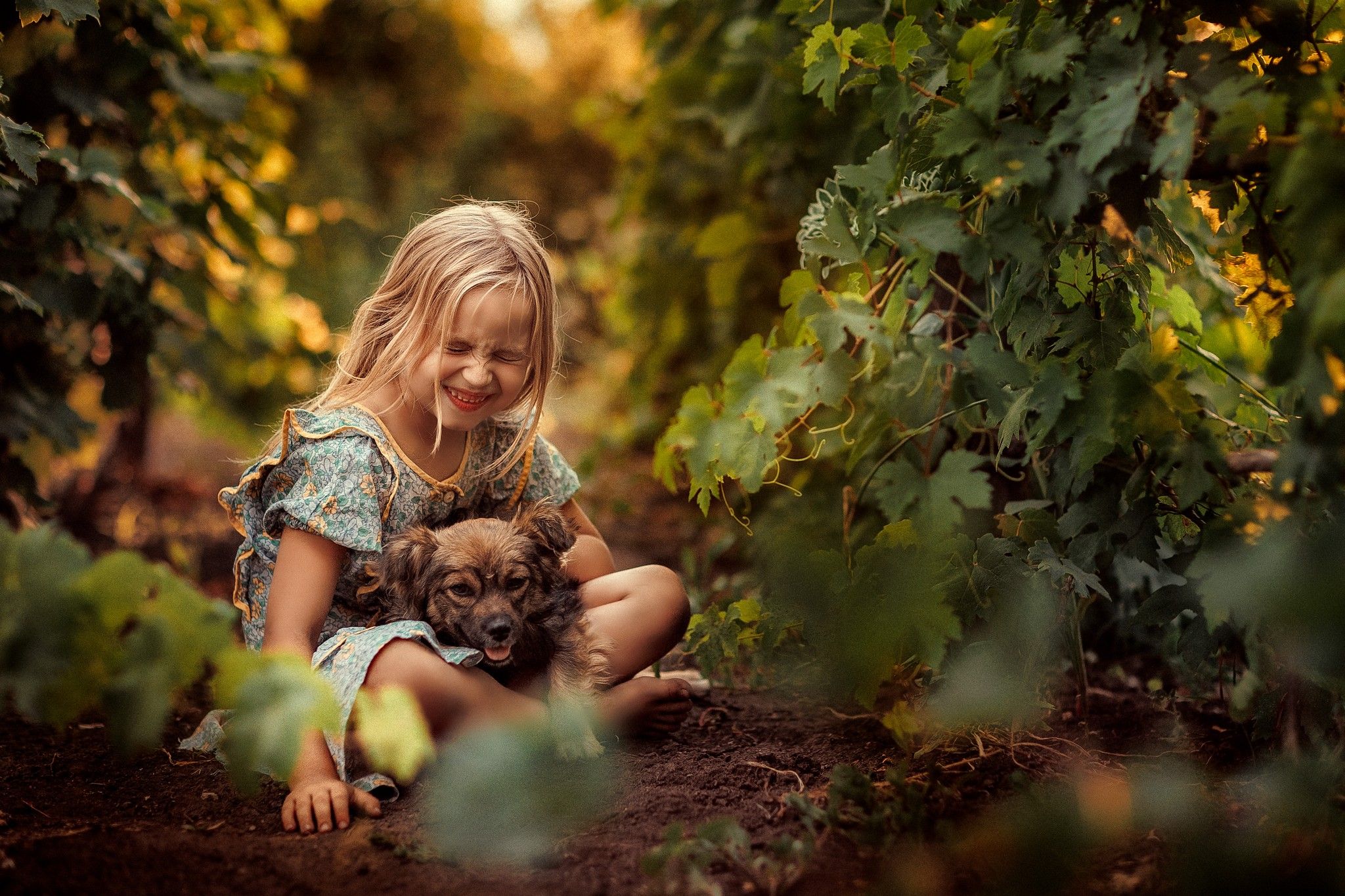 виноградник, собака, девочка с собакой, ребёнок в винограднике, ребёнок с собакой, Дуклер Алёна