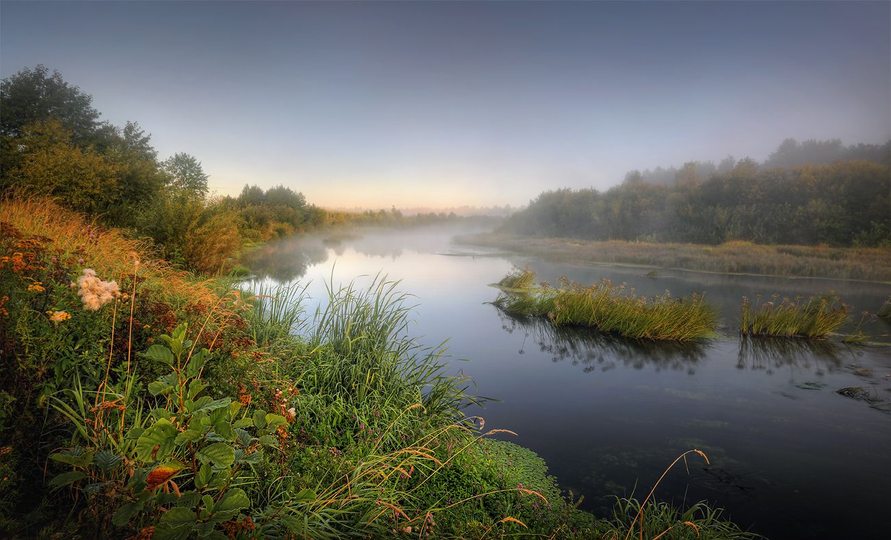 река Керженец август лето Нижегородская область, Александр Бархатов