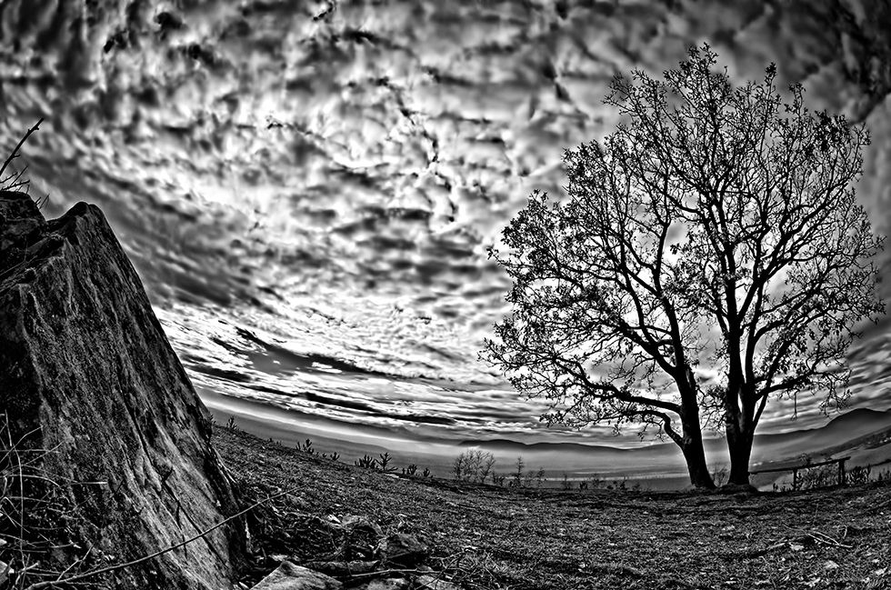 black, black and white, landscape, nature, photography, sky, tree, white,, Dr Didi Baev