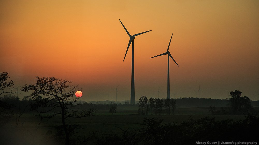 evening, sun, sunset, tree, windmill, закат, Алексей Гусев