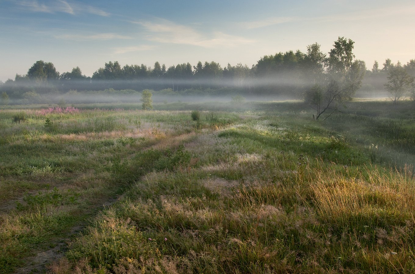 , Марина Брыдня
