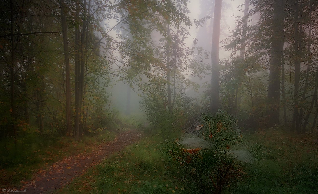 , Владимир Комышев