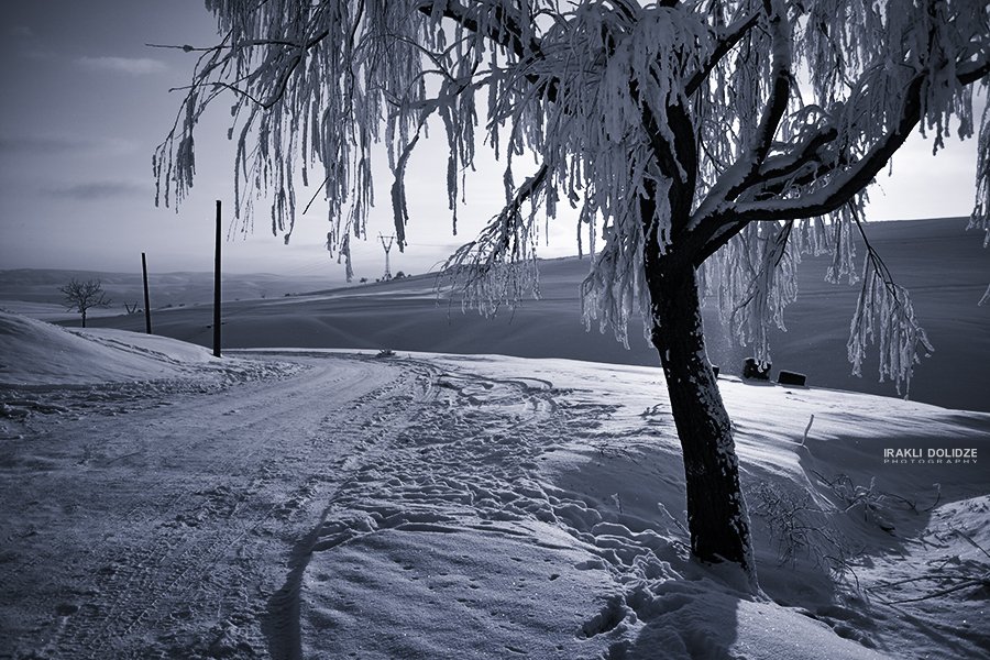 Landscape, Road, Snow, Sunset, Tree, Winter, ირაკლი დოლიძე