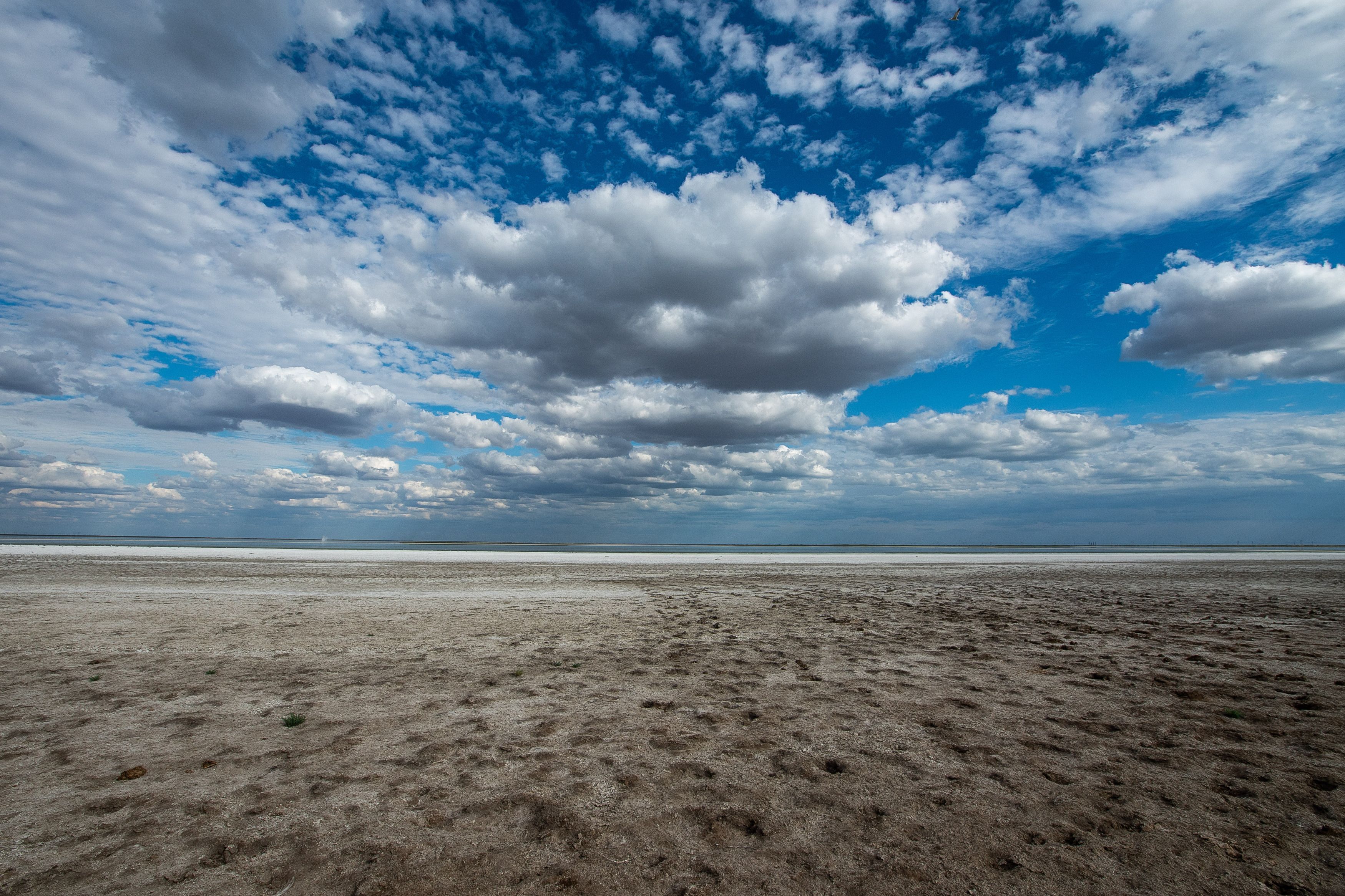 desert, volgograd, russia, wildlife, bolsoi liman, cloudy, landscapes, 10mm, panorama, , Сторчилов Павел