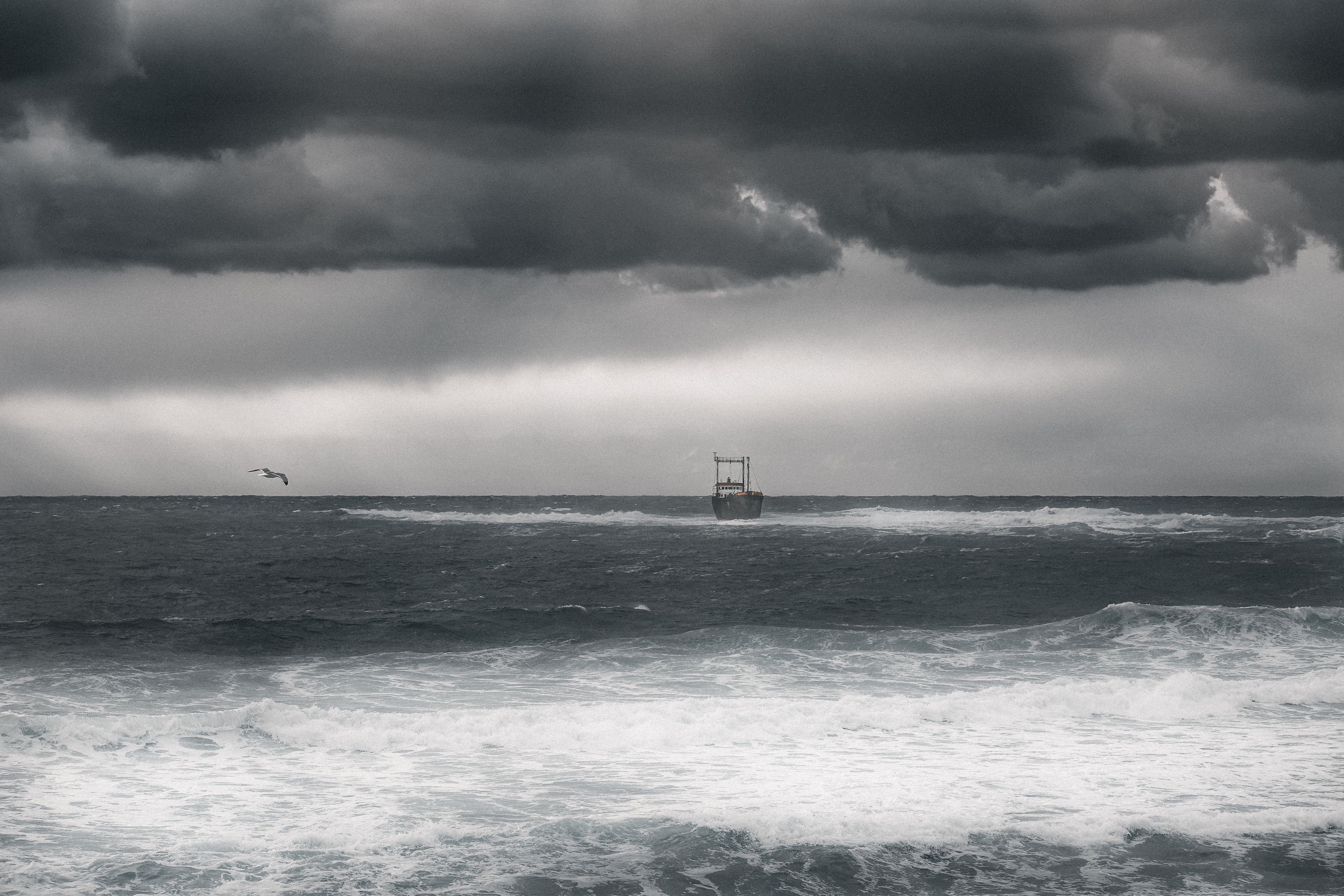 #cyprys #travel #canon #nature #storm #landscape #birds , Mazur Maksym