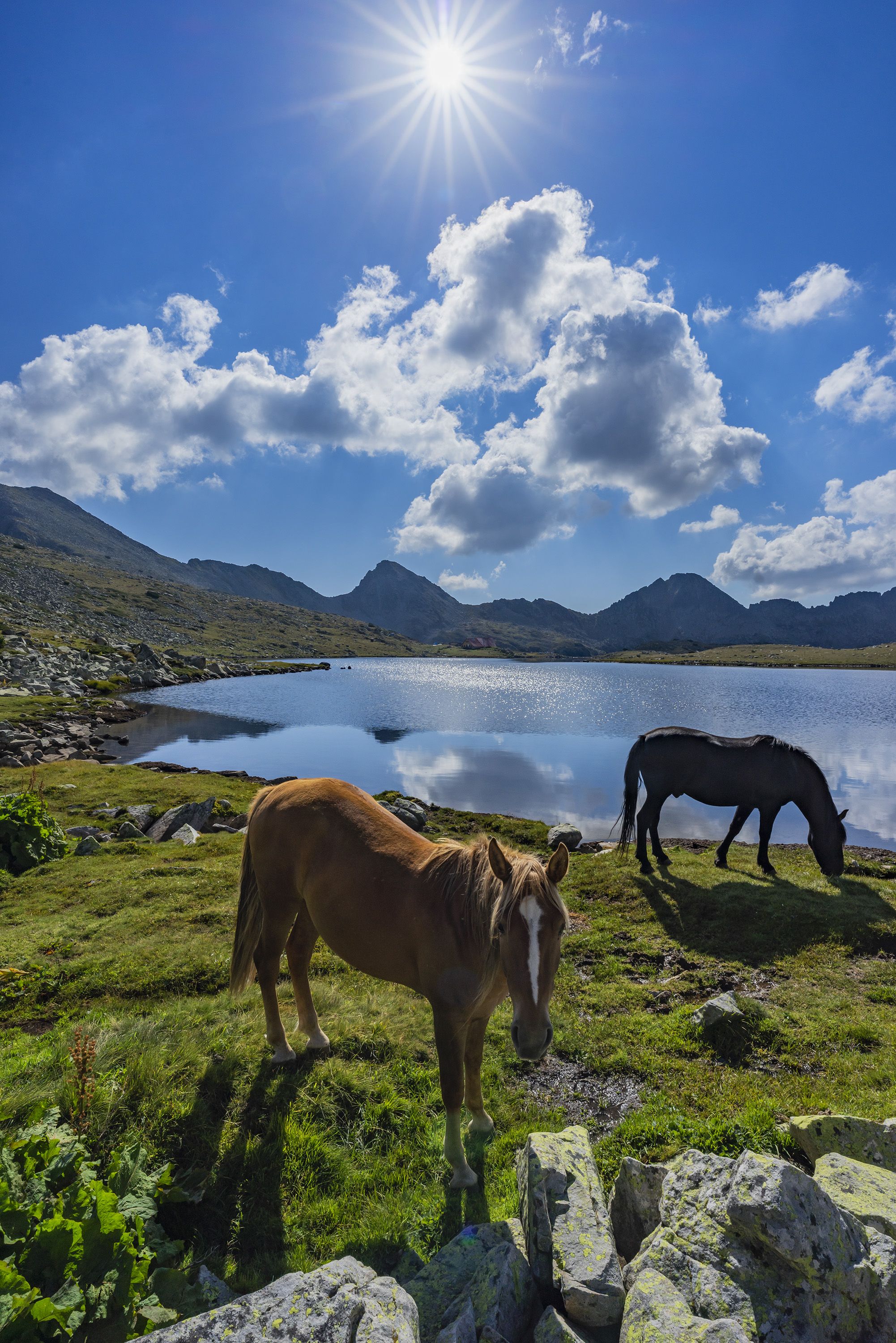 landscape nature vertical hiking lake horses, viktor demidov