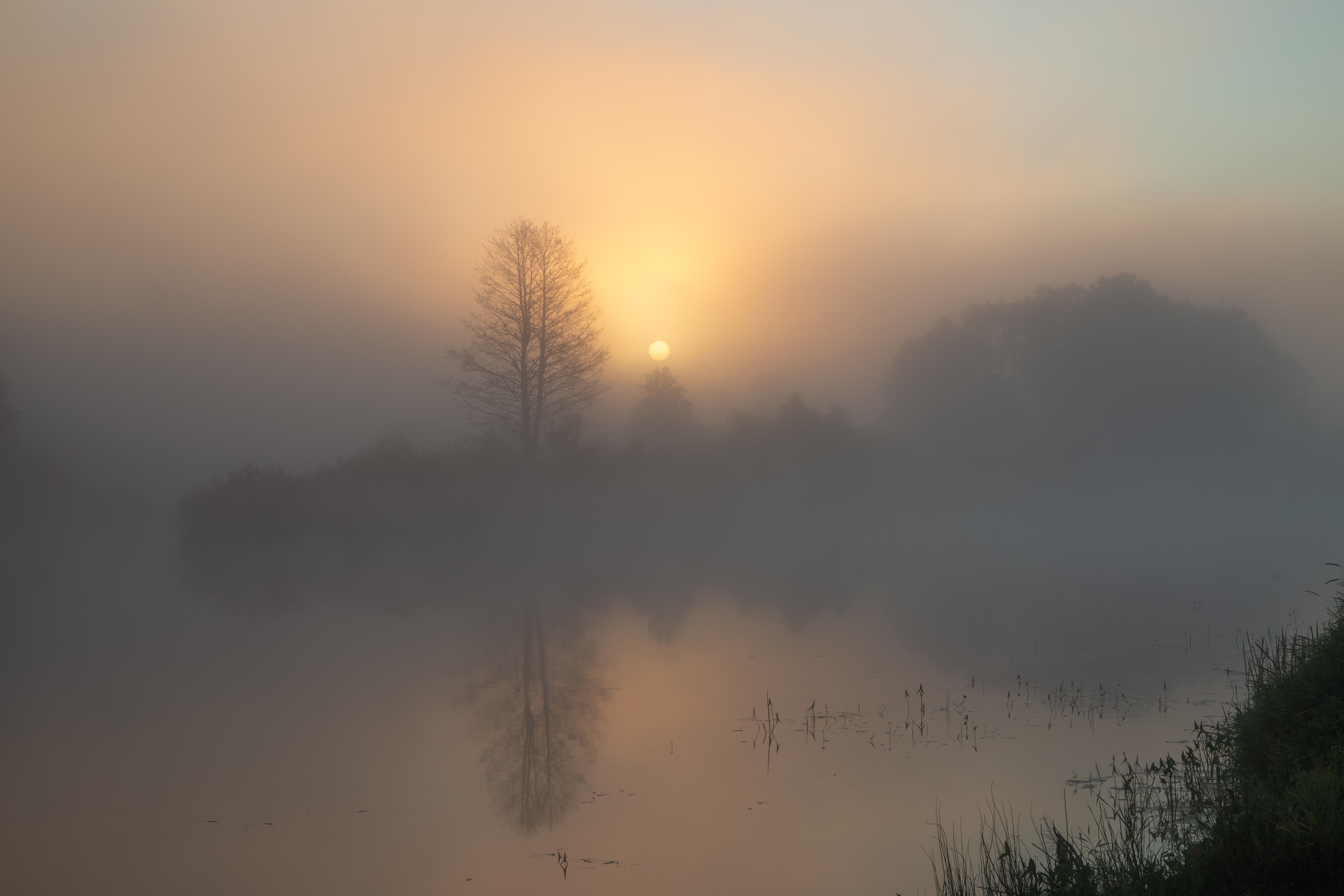 Morning by the river, Spundiņš Vilnis